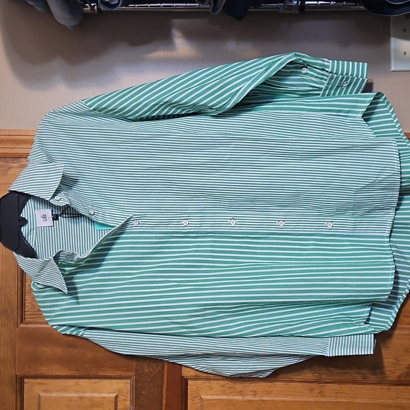 NWT CAbi Dad Shirt Green and White Striped Button Down Shirt - Picture 7 of 14